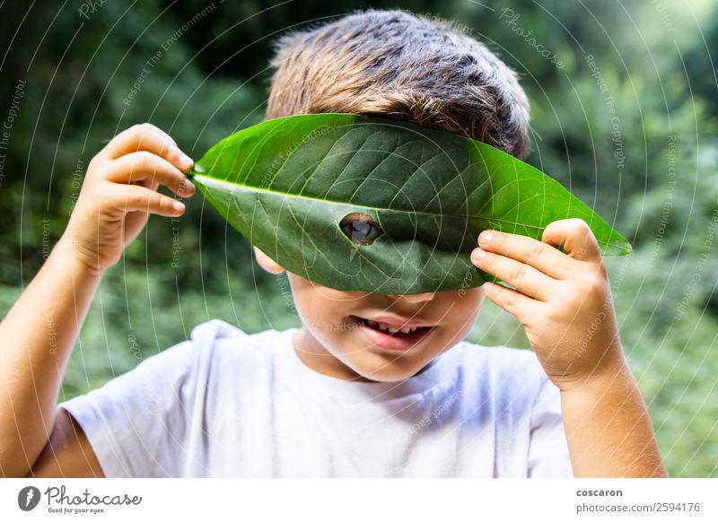 Kleiner Junge, der durch ein Loch in einem Blatt schaut. Freude Glück schön Spielen Garten Kind Schule Mensch Kleinkind Frau Erwachsene Kindheit 1 3-8 Jahre