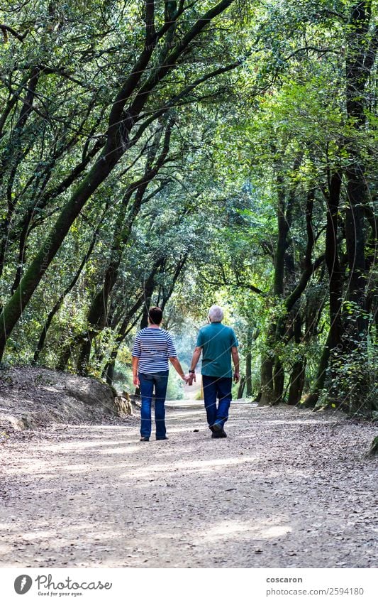 Rentnerpaar, das gemeinsam auf dem Weg eines Waldes geht. Lifestyle Glück schön Gesundheit Gesundheitswesen Wellness Erholung Windstille Meditation Ferne