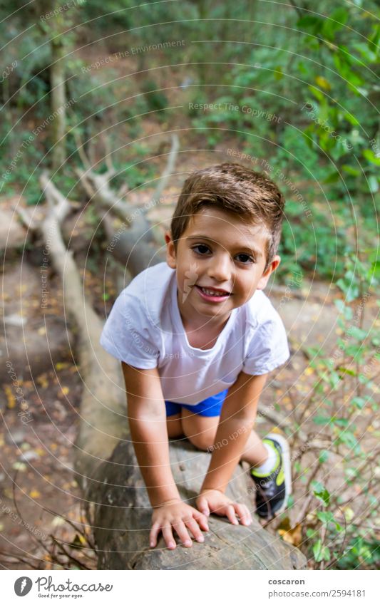 Süßes Kind im Wald, das allein spielt. Lifestyle Freude Glück schön Gesicht Spielen Ferien & Urlaub & Reisen Tourismus Abenteuer Sommer Garten Mensch maskulin