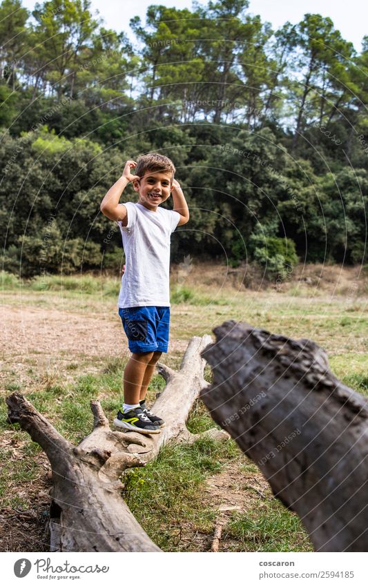 Süßes Kind im Wald, das allein spielt. Lifestyle Freude Glück schön Gesicht Spielen Sommer Garten Mensch Kleinkind Junge Kindheit 1 3-8 Jahre Natur Landschaft