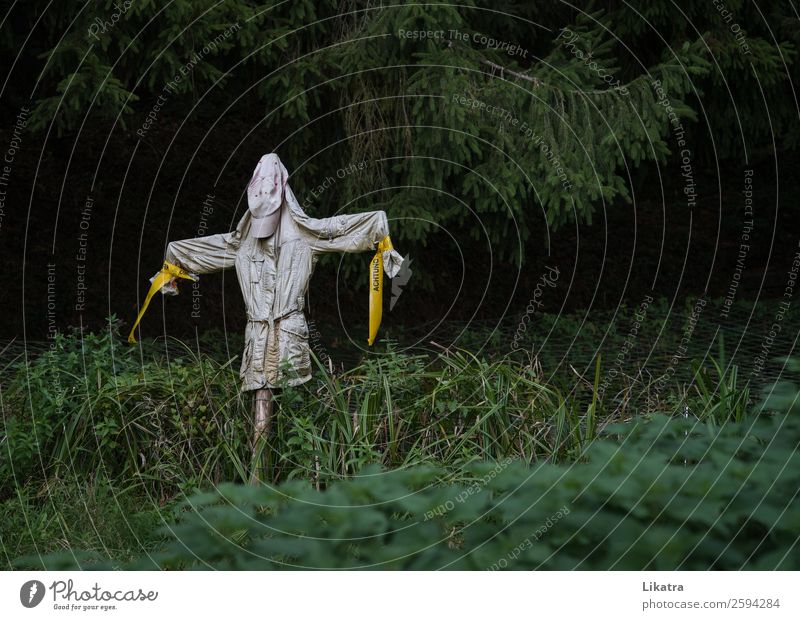 Vogelschreck Garten Halloween Landwirtschaft Forstwirtschaft Skulptur Natur schlechtes Wetter Wald Vogelscheuche außergewöhnlich bedrohlich dunkel trashig