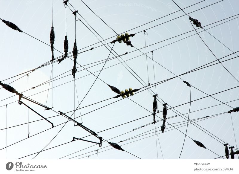 hochspannend Hochspannungsleitung Himmel Schönes Wetter Schienenverkehr hängen bedrohlich oben blau schwarz Kraft gefährlich komplex Netzwerk Zusammenhalt Kabel