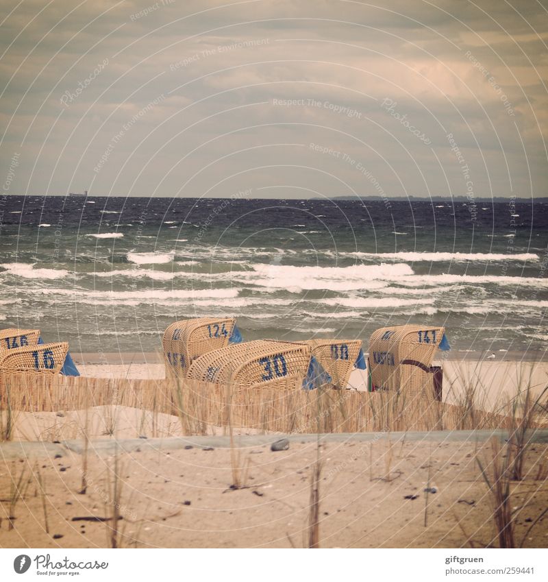 zahlensalat an salzwasser Umwelt Natur Urelemente Sand Wasser Himmel Wolken Gewitterwolken Horizont Unwetter Wind Sturm Wellen Küste Strand Ostsee Meer