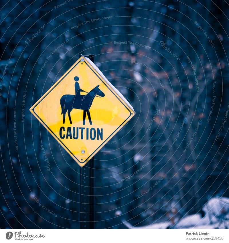 Caution Lifestyle Freizeit & Hobby Reiten Ferien & Urlaub & Reisen Tourismus Ausflug Abenteuer Umwelt Urelemente wandern Stimmung Schilder & Markierungen