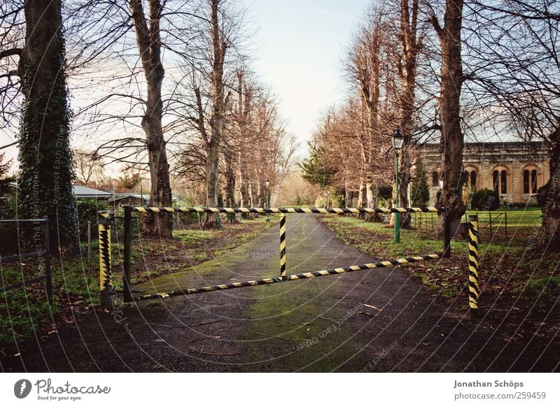 beschränkter Durchgang I Umwelt Natur Himmel Herbst Baum Park entdecken Schranke stoppen Einschränkung kahl Wege & Pfade Durchfahrtsverbot Bewohner privat