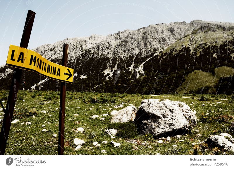 La Montanina Ausflug Abenteuer Ferne Sommer wandern Klettern Bergsteigen Natur Landschaft Pflanze Tier Wolkenloser Himmel Schönes Wetter Gras Berge u. Gebirge