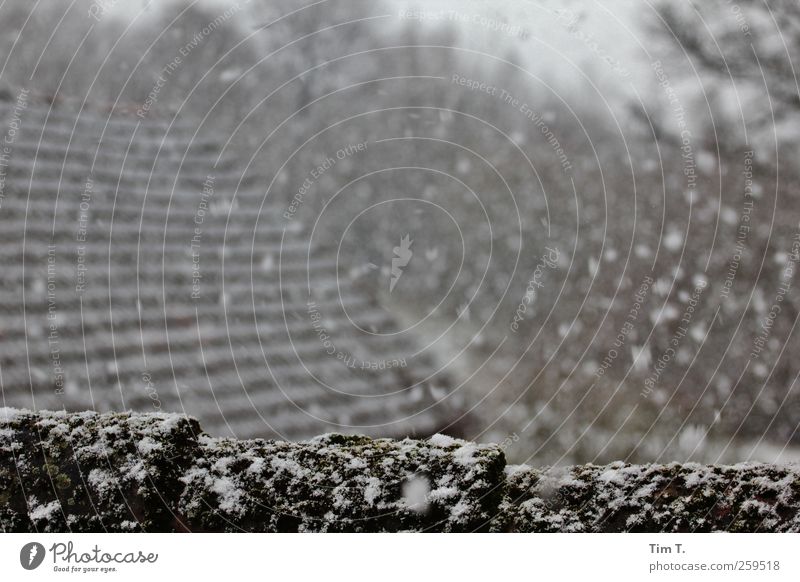 Pommern Landschaft Winter Wetter Schnee Schneefall Polen Dorf Menschenleer Haus Bauwerk Gebäude Dach Farbfoto Außenaufnahme Tag