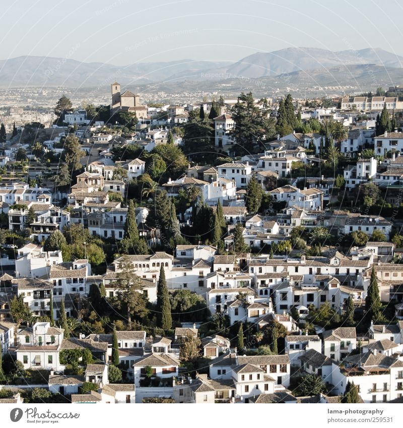 Albaicín [VII] Ferien & Urlaub & Reisen Städtereise Zypresse Hügel Granada Albaicin Andalusien Spanien Stadtzentrum Altstadt Haus Kirche Fassade