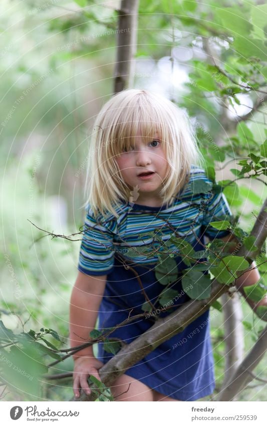 Amelie Freizeit & Hobby Spielen Abenteuer Freiheit Safari Klettern Kind Mädchen Kindheit Leben Haare & Frisuren Gesicht Arme 1 Mensch 3-8 Jahre Umwelt Natur