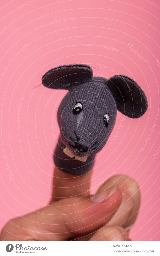 Hier kommt die Maus Geburtstag Kindererziehung Kindergarten Hand Finger Puppentheater Spielzeug Bewegung festhalten Lächeln lachen Spielen rosa Fingerpuppe