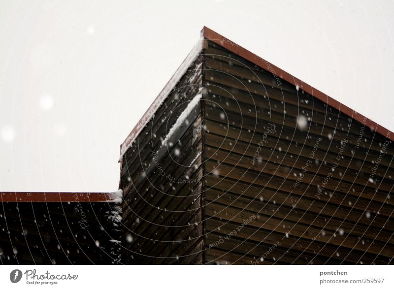 Grauer Wintertag. Schneeflocken und hausfassade. Holzverkleidung Wetter schlechtes Wetter Schneefall Haus Einfamilienhaus Dach braun grau rot weiß Farbfoto