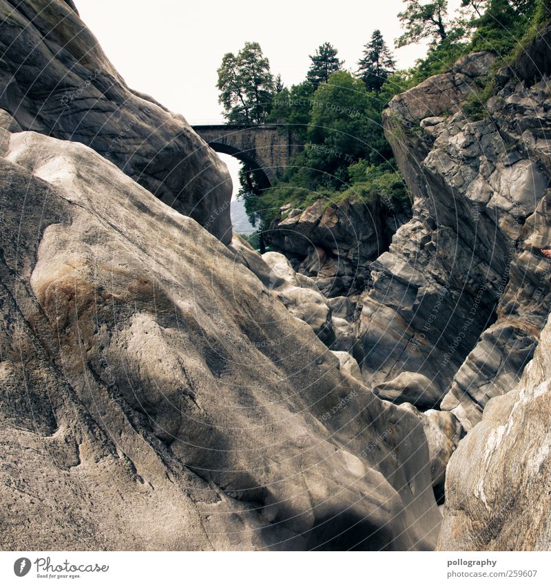 Wasserkraft!!! Natur Landschaft Wolkenloser Himmel Sommer Schönes Wetter Pflanze Baum Sträucher Blatt Grünpflanze Wildpflanze Wald Felsen Schlucht Fluss