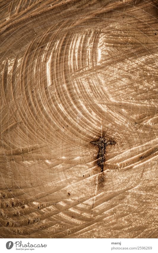 Das Ende Ostern Christliches Kreuz Maserung Jahresringe Holz Traurigkeit Tod einzigartig Sägeschnitt zerfurcht einfach Bedeutung Symbole & Metaphern Querschnitt