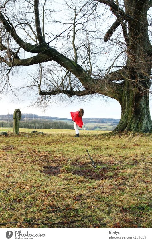 Rumpelstilzchen Stil Winter Junge Frau Jugendliche 1 Mensch Herbst Blume Gras Blick Tanzen ästhetisch rot Lebensfreude Begeisterung einzigartig Leidenschaft