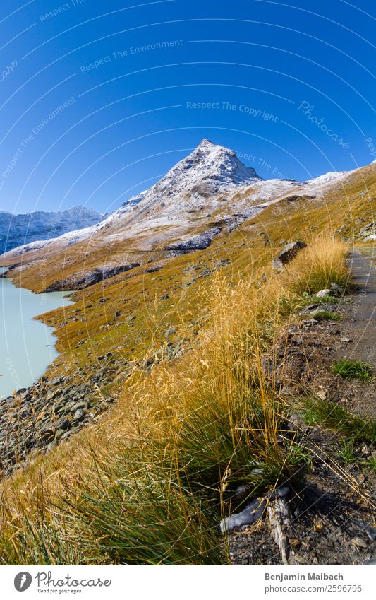 Berggipfel mit Gras und Schnee Natur Landschaft Pflanze Himmel Herbst Wetter Schönes Wetter Hügel Berge u. Gebirge Gipfel Schneebedeckte Gipfel Seeufer blau