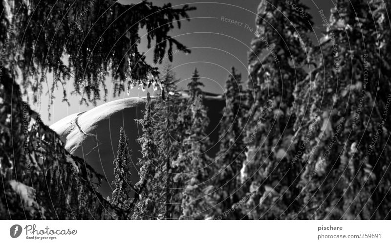 Winter Wunderland II Natur Schnee Baum Berge u. Gebirge Schneebedeckte Gipfel ästhetisch schön Schwarzweißfoto Außenaufnahme Tag Kontrast Sonnenlicht Unschärfe