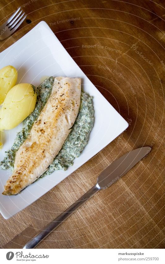 loup de mer auf kräuterbett mit kartoffeln Lebensmittel Fisch Kräuter & Gewürze Kartoffeln Wolfsbarsche Ernährung Mittagessen Abendessen Festessen