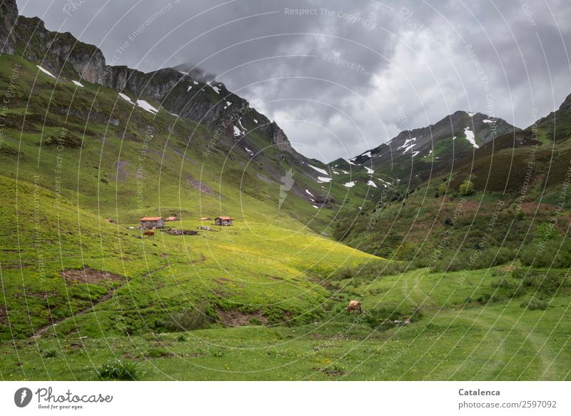 Hirtenhütten auf der Alm unter bewölktem Himmel Landschaft Gewitterwolken Horizont Sommer schlechtes Wetter Pflanze Gras Sträucher Moos Wiese Hügel