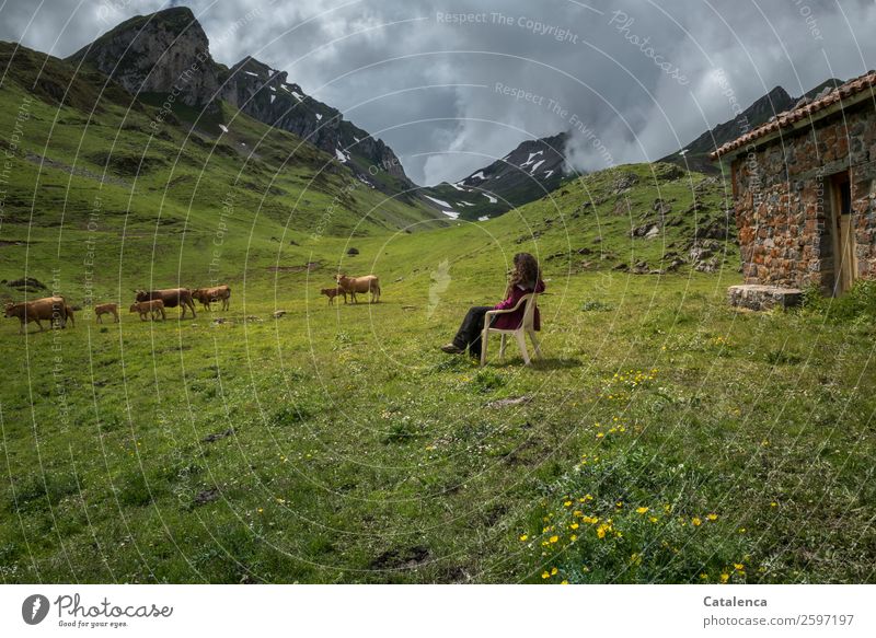 Auf der Alm Wolken Wiese Landwirtschaft Kalb Kuh Wetter Gras Horizont wandern Berge Tageslicht Himmel Landschaft Umwelt Urlaub Ferien & Urlaub & Reisen