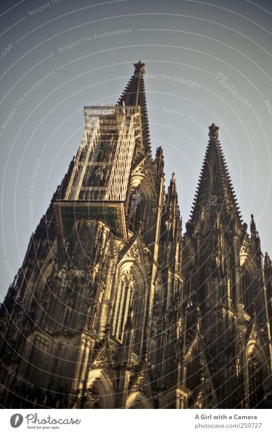 welcome to Germany Schönes Wetter Köln Stadt Stadtzentrum Altstadt Skyline Dom Turm Bauwerk Gebäude Architektur Mauer Wand Fassade Kölner Dom alt authentisch