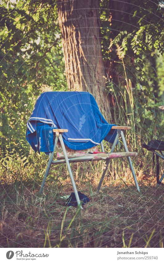 Sie haben den Klappstuhl ausgegraben... Lifestyle Stil Ferien & Urlaub & Reisen Ausflug Abenteuer Ferne Freiheit Sommerurlaub Natur Schönes Wetter Baum Gras