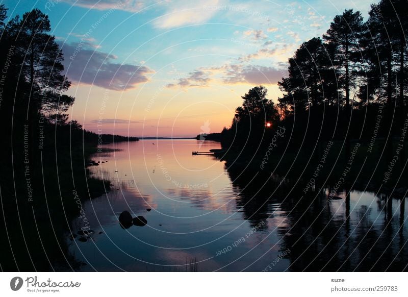 Sommerabend ruhig Freiheit Meer Umwelt Natur Himmel Wolken Horizont Baum Wald See dunkel blau Romantik Einsamkeit Finnland Skandinavien Zauberei u. Magie