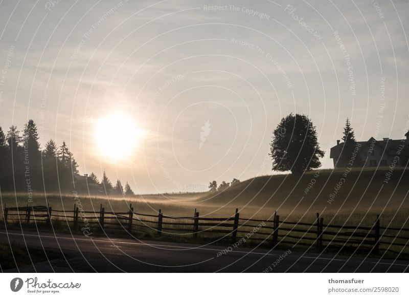 Sonnenuntergang, Berge, Bäume, Weidezaun Ferien & Urlaub & Reisen Ausflug Ferne Berge u. Gebirge wandern Natur Landschaft Himmel Horizont Sonnenaufgang Herbst