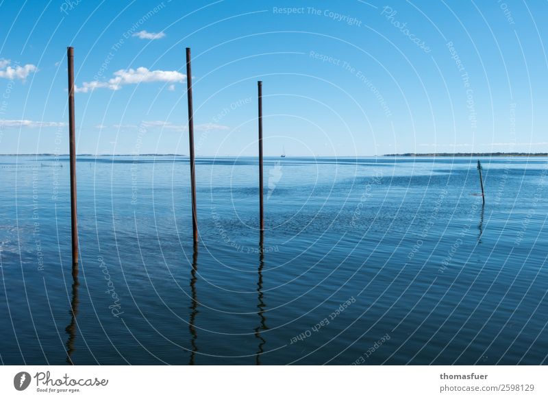 Meer, Windstille, Stangen Ferien & Urlaub & Reisen Ferne Freiheit Sommer Sommerurlaub Sonne Natur Luft Wasser Himmel Horizont Klima Schönes Wetter Insel Hafen