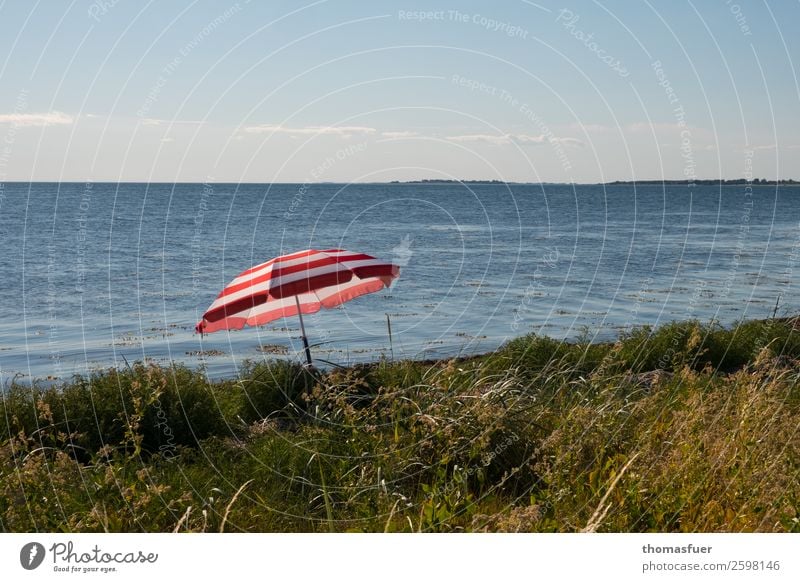 Strand, Sonnenschirm, Meer Ferien & Urlaub & Reisen Ausflug Sommer Sommerurlaub Sonnenbad Insel Natur Landschaft Sand Luft Wasser Wolkenloser Himmel Horizont