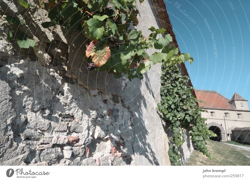 Anlehnungsbedürftig Riegersburg Bundesland Steiermark Österreich Dorf Tor Mauer Wand Sehenswürdigkeit Wahrzeichen Denkmal Bekanntheit historisch blau grau grün