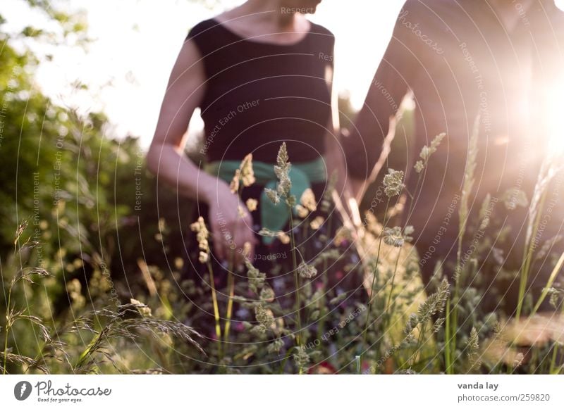 Sommer Ausflug Sommerurlaub Sonne Mensch feminin Frau Erwachsene Mann Paar Partner Leben 2 18-30 Jahre Jugendliche Schönes Wetter Gras Wiese Erholung