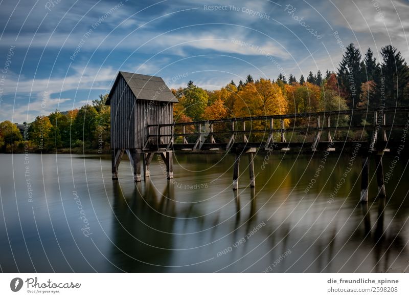 Herbst im Harz Natur Pflanze Wasser Himmel Wetter Schönes Wetter Baum Blatt Laubbaum Wald Berge u. Gebirge Seeufer Hahnenklee Goslar Deutschland Europa Dorf