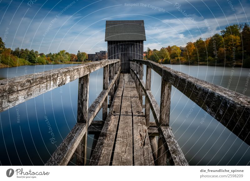 Alter Steg am See Natur Landschaft Pflanze Luft Wasser Himmel Wolken Herbst Wetter Schönes Wetter Baum Sträucher Wald Berge u. Gebirge Harz Seeufer Hahnenklee