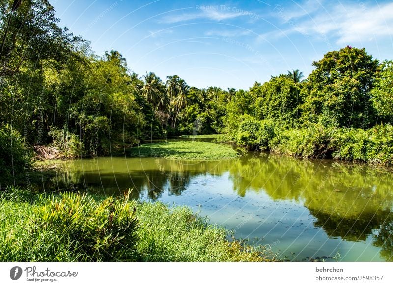 klimaschutz Ferien & Urlaub & Reisen Tourismus Ausflug Abenteuer Ferne Freiheit Umwelt Natur Landschaft Himmel Wolken Klimawandel Pflanze Baum Sträucher Blatt