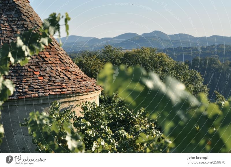 Wein doch! Herbst Hügel Alpen Berge u. Gebirge Weinberg Riegersburg Bundesland Steiermark Österreich Dorf Bauwerk Gebäude Architektur Dach Dachziegel