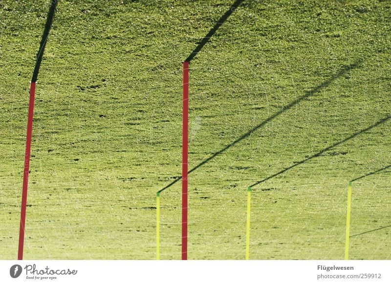 Training Sportstätten Schatten Außenaufnahme Stab Grünfläche Sportrasen Menschenleer