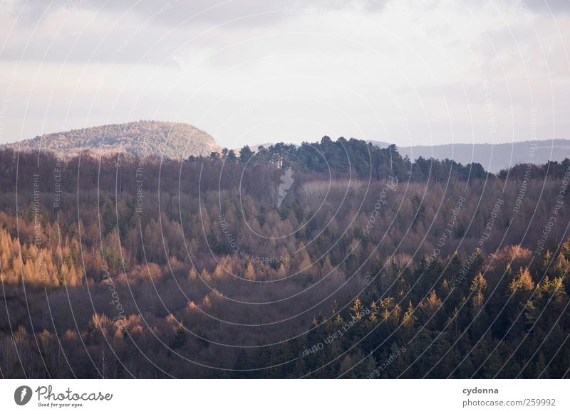 Ruhe harmonisch Wohlgefühl Erholung ruhig Ausflug Ferne Freiheit Umwelt Natur Landschaft Himmel Winter Schönes Wetter Berge u. Gebirge Einsamkeit erleben