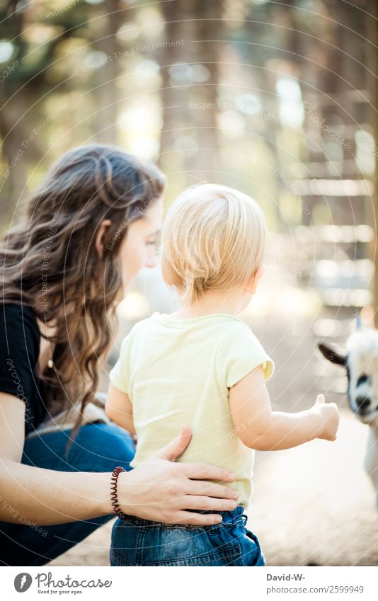 schau mal Mensch feminin Kind Kleinkind Mädchen Junge Frau Jugendliche Familie & Verwandtschaft Kindheit Leben Umwelt Natur Herbst Schönes Wetter Tier