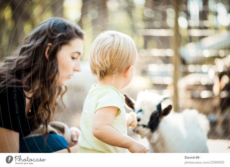 genau, trau dich Kindererziehung Mensch feminin Kleinkind Mädchen Frau Erwachsene Mutter Familie & Verwandtschaft Kindheit Leben 2 Umwelt Natur Tier beobachten