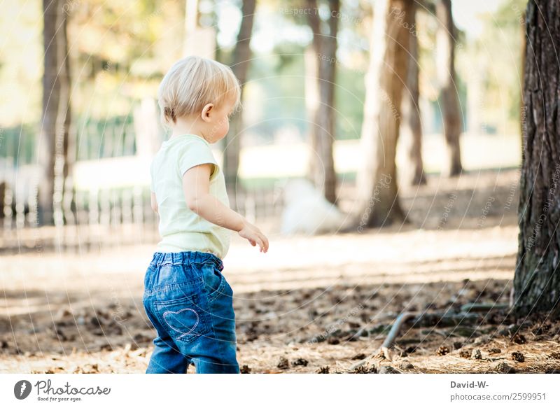 Kleinkindalter Mensch maskulin feminin Kind Mädchen Junge Leben 1 1-3 Jahre Umwelt Natur Sommer Herbst Schönes Wetter Baum Wald beobachten gehen Waldboden