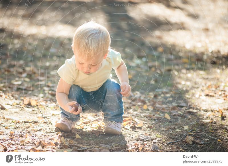 was habe ich denn da gefunden? Kindererziehung Mensch Kleinkind Mädchen Junge Kindheit Leben Hand 1 1-3 Jahre Umwelt Natur Schönes Wetter beobachten finden