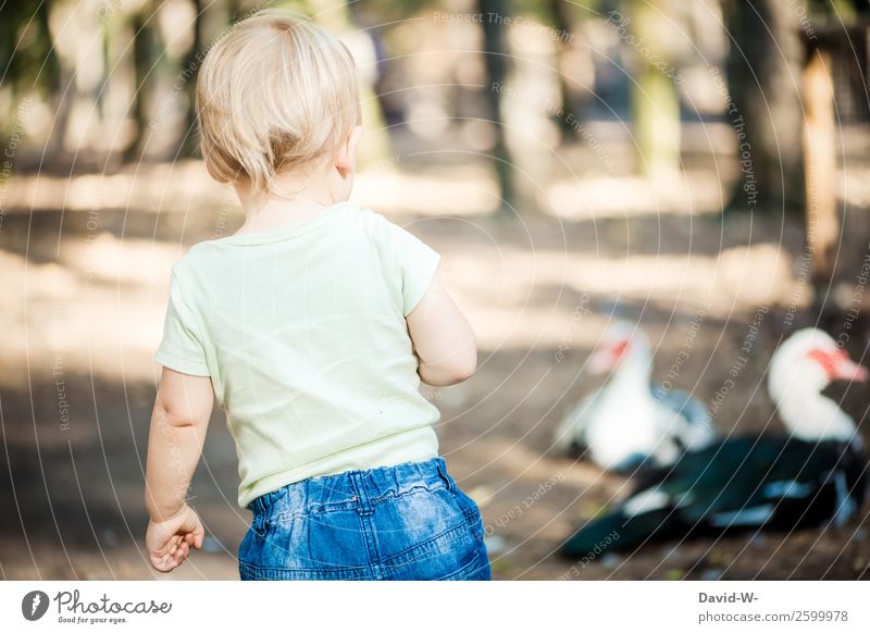 neugierig? Freude Mensch Kind Kleinkind Mädchen Junge Kindheit Leben 1 1-3 Jahre Umwelt Natur Tier Vogel beobachten Ente Neugier entdecken niedlich