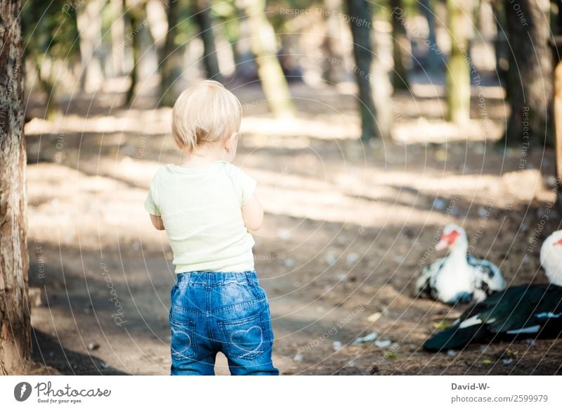 ente(ckung) Zufriedenheit Sinnesorgane Mensch maskulin feminin Kind Kleinkind Mädchen Junge Kindheit Leben 1-3 Jahre Natur Sommer Schönes Wetter Wald beobachten