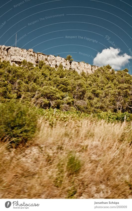 vorbeigerauscht IV Ferien & Urlaub & Reisen Ausflug Ferne Freiheit Sommerurlaub Umwelt Natur Landschaft Schönes Wetter Geschwindigkeit blau braun grün