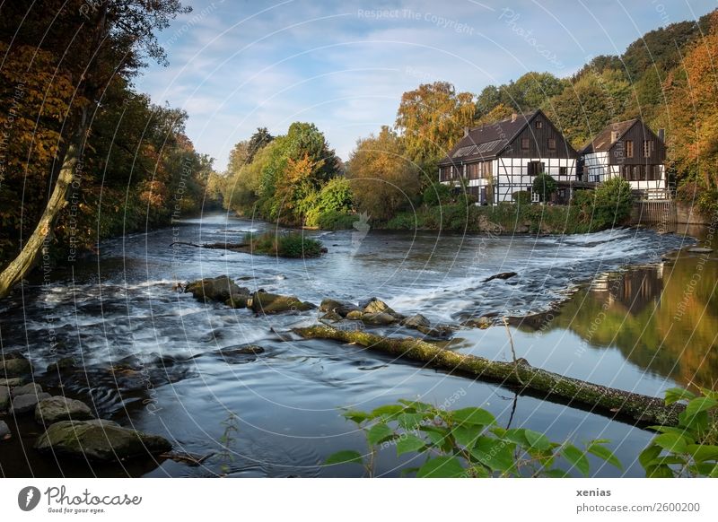 Wipperkotten - Kotten an der rauschenden Wupper im Herbst bei schönem Wetter Schönes Wetter Flussufer Bach Solingen Nordrhein-Westfalen Fachwerkhaus Schleiferei