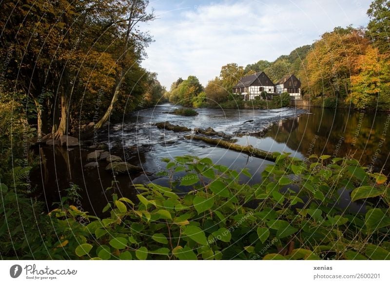 Wupper mit Wipperkotten im Herbst Kotten Schleifkotten Ferien & Urlaub & Reisen Tourismus Bergisches Land Schönes Wetter Baum Flussufer Bach Solingen