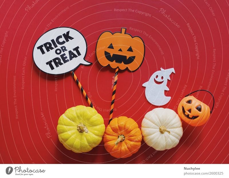 Flache Lage der Halloween-Stützen mit Kürbissen Design Freude Glück Dekoration & Verzierung Feste & Feiern Erntedankfest Kunst Herbst Ornament trendy niedlich