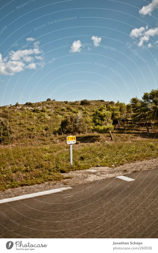 vorbeigerauscht V Ferien & Urlaub & Reisen Ausflug Abenteuer Ferne Freiheit Sommerurlaub Pflanze Himmel Verkehr Verkehrswege Autofahren Straße Landstraße