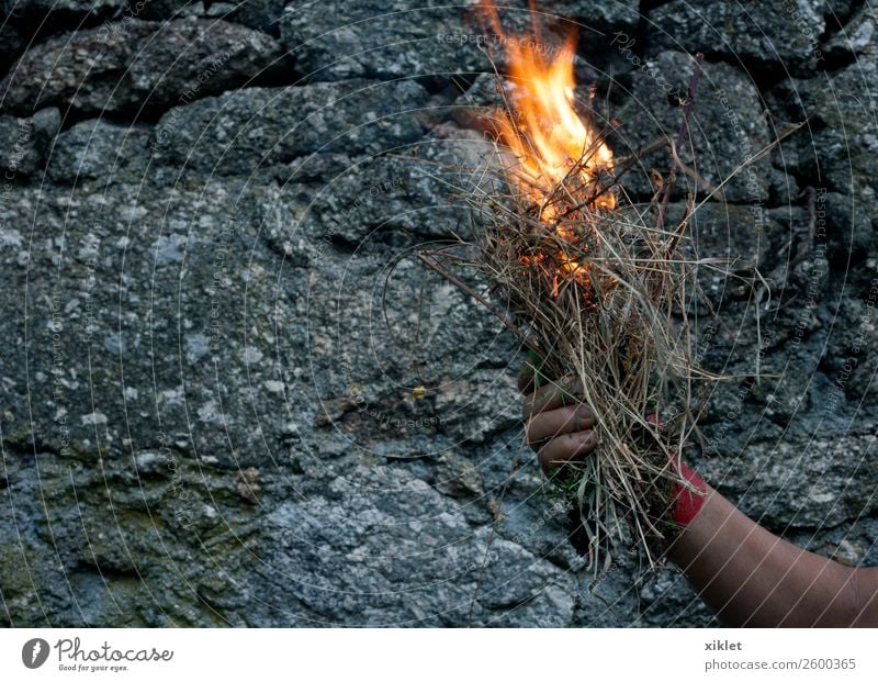 Feuer Arme Hand Gras Mauer Wand Stein Beton heiß hell einzigartig schön grau orange rot Mut Angst exotisch Risiko Schmerz brennen gefährlich Tinte Rauch Flamme