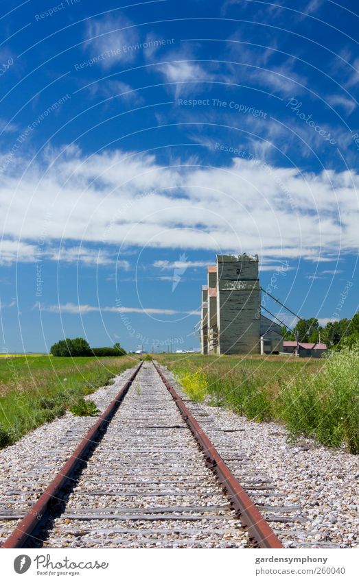 Schienen- und Getreideheber Umwelt Natur Landschaft Himmel Sommer Bauwerk Gebäude Architektur Bahnfahren Schienenverkehr Eisenbahn alt historisch